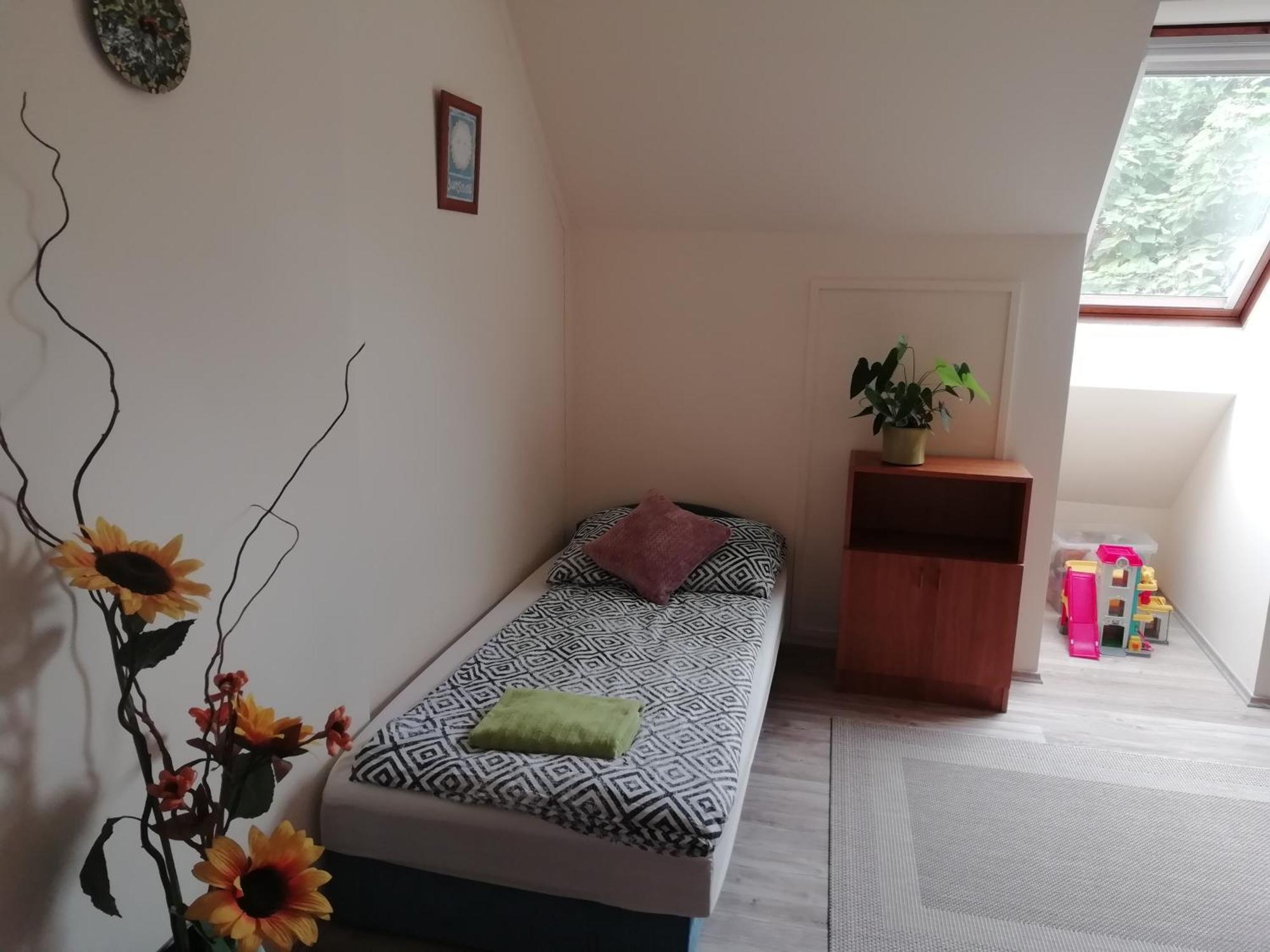 Cehmesterek Apartman Eger Rum bild