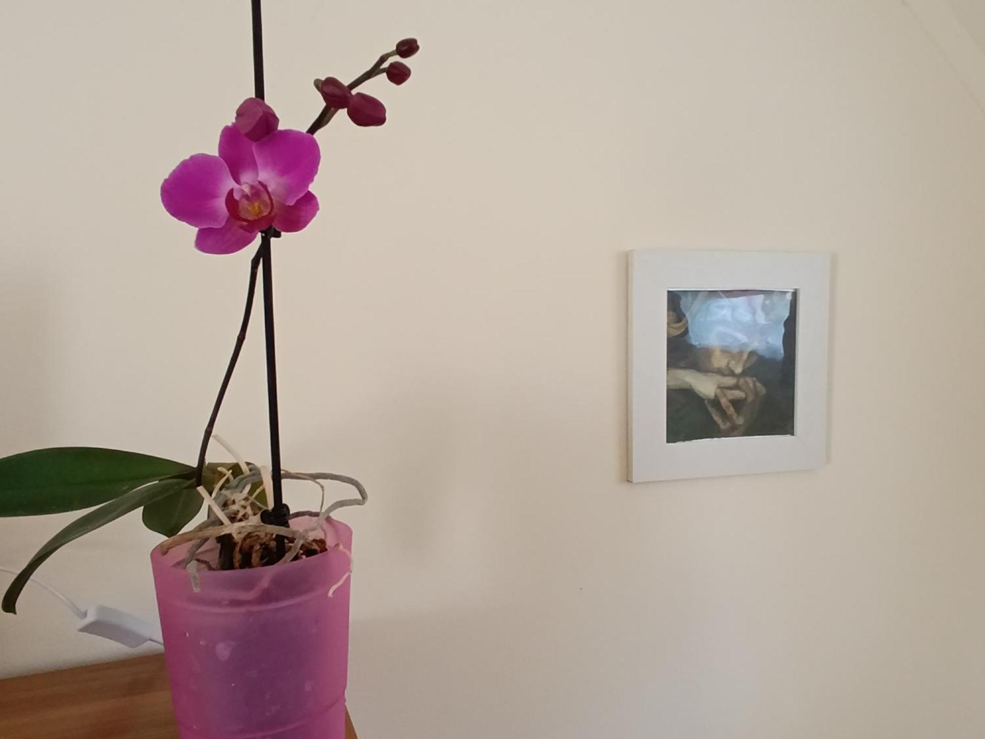 Cehmesterek Apartman Eger Exteriör bild